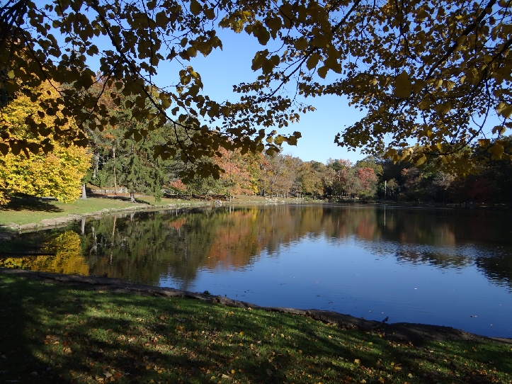 beechmont 75 fall