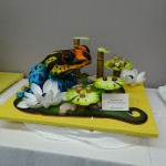 DSC00551