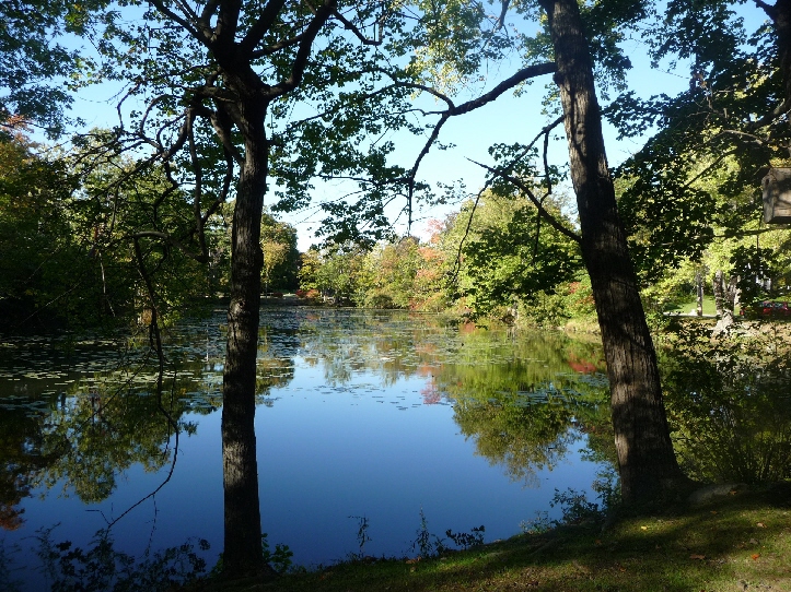 Fall 2010  New Rochelle