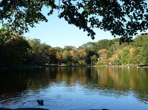 Beechmont Lake 2010