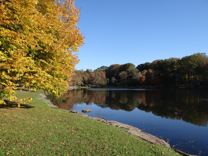 Beechmont Lake 2012 New Rochelle