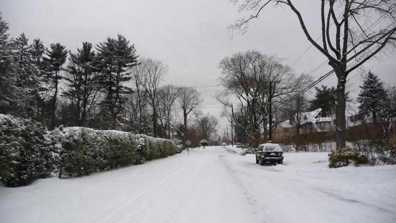 New Rochelle 10804