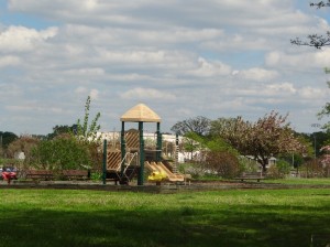 Harbor Island Park close-up