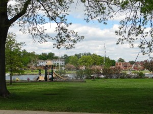 Harbor Island Park with tree
