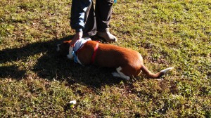 Copper!