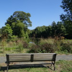 DSC02541