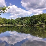 Beechmont Lake spring 20-14