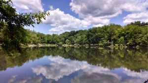 Beechmont Lake spring 20-14
