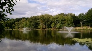fountains beechmont lake