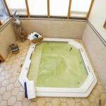 025-Hot_Tub-2318168-medium